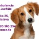 MVDr. Dušan Jurášik - Veterinárna ambulancia